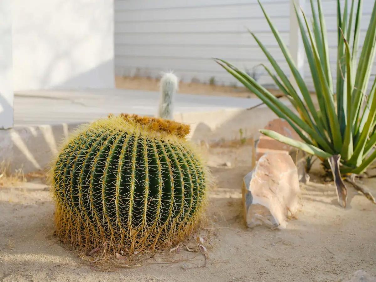 The Zen - Outdoor Shower, Gas Fireplace, Walkable To Shops & Restaurants Joshua Tree Esterno foto