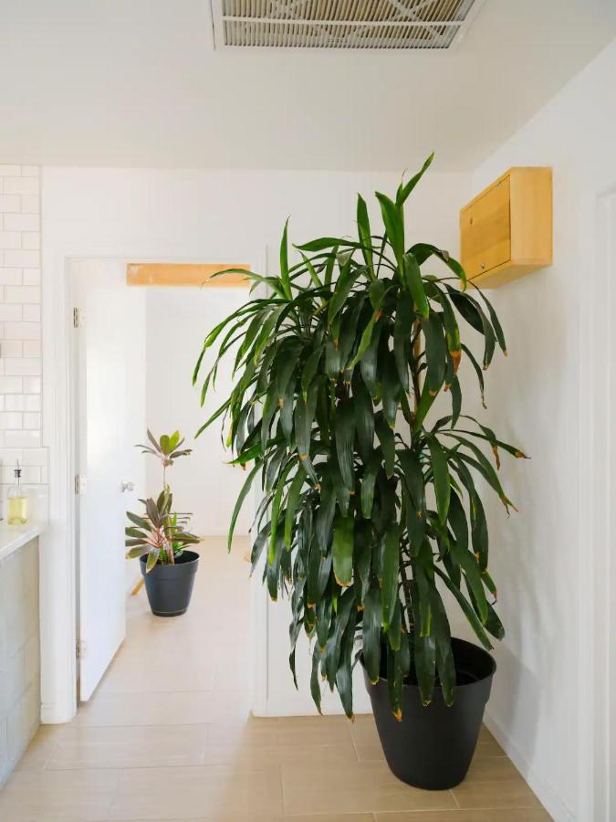 The Zen - Outdoor Shower, Gas Fireplace, Walkable To Shops & Restaurants Joshua Tree Esterno foto